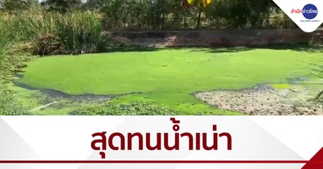 เรื่องนี้มีคำถาม : ชาวบ้านสุดทนกลิ่นเหม็นน้ำเน่า