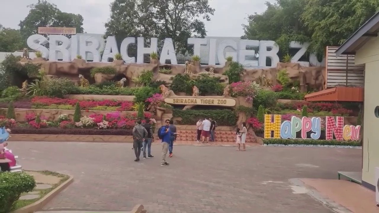 A visit to Sriracha Tiger Zoo | Crocodile Show | Tiger Show | Chon Buri | Pattaya | Thailand | Jordan Oza