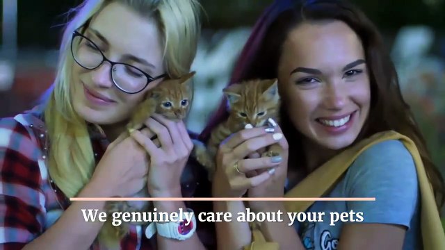 Pick the Less Expensive Pet Meals & Healthful Breeds of Pets Provided By Bobby Low & Leslie's Team at Jubilee Leslie Ace