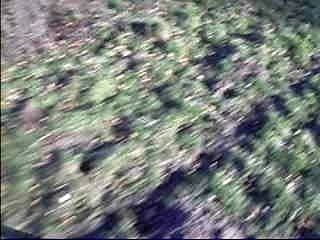 Dimanche 17/fevrier 2008