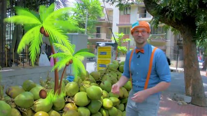 Blippi Goes to India! Learn About Rickshaws For Kids! Without Music