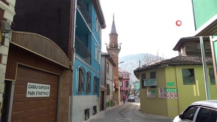 Tarihî caminin bahçesindeki asırlık ağacı kestiler