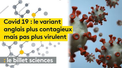 Covid-19 : le variant anglais plus contagieux mais pas plus virulent