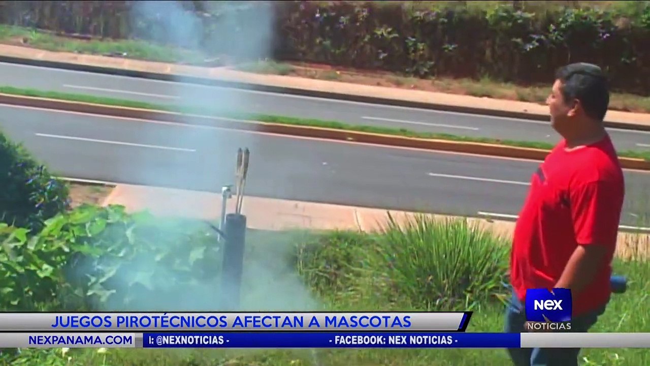 Juegos pirotécnicos afectan a mascotas  - Nex Noticias