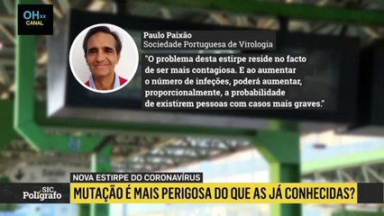 Cinco respostas sobre a nova variante do coronavírus