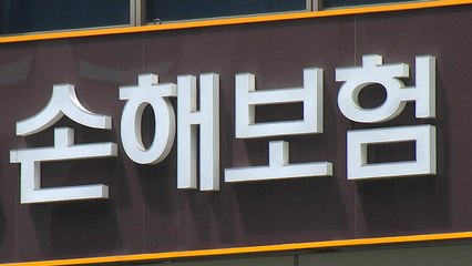 올해 상반기 보험사기 금액·인원 역대 최대...생계형 사기 증가 / YTN