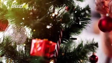 Guy Decorates Tree 300 Times for a Christmas Stop Motion Video You Have To See To Believe