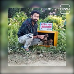 Assam Youth Collects Discarded TV Sets, Turns Them Into Homes For Stray Dogs