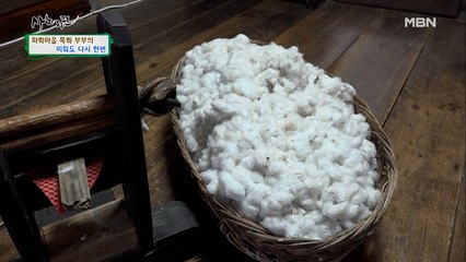 베테랑 아내와 초보 남편의 티격태격 알콩달콩 목화솜 빼기!