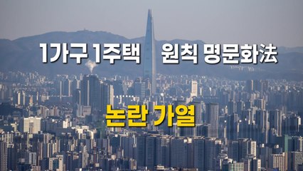 [영상] '1가구 1주택 원칙 명문화' 法 논란 가열 / YTN