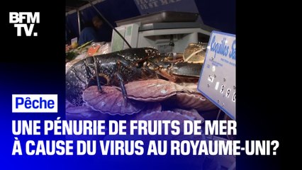 Entre la fermeture des frontières du Royaume-Uni et le Brexit, les acteurs de la pêche alertent sur de possibles pénuries de crustacés