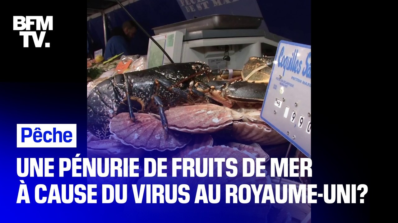 Entre la fermeture des frontières du Royaume-Uni et le Brexit, les acteurs de la pêche alertent sur de possibles pénuries de crustacés