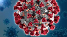 Járvány: az új variáns ellen is jó lehet a Pfizer/BioNTech vakcinája