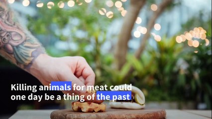 'The beginning of something special': lab-grown meat makes historic debut in Singapore
