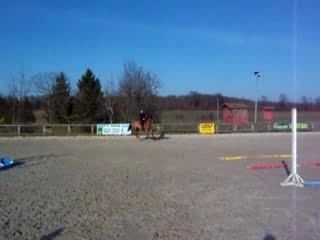 Alexa et Flèche barres gym chez Tony #1