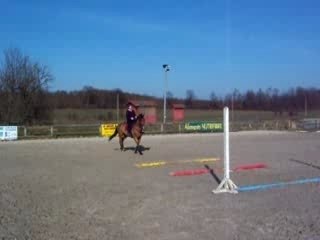 Alexa et Flèche barres gym chez Tony #2