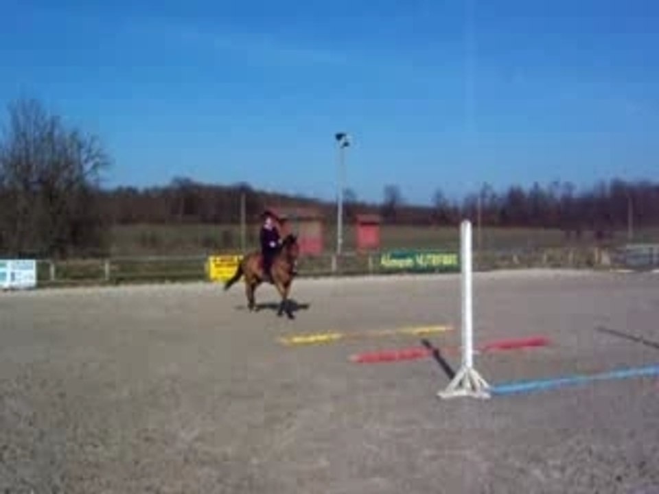 Alexa et Flèche barres gym chez Tony #2