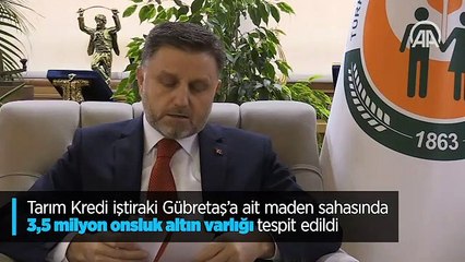 Gübretaş'a ait maden sahasında 3,5 milyon onsluk altın varlığı tespit edildi