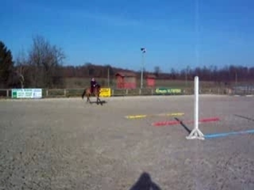 Alexa et Flèche barres gym chez Tony #3