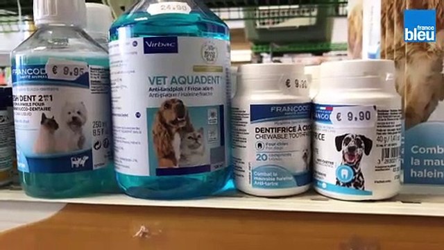 Une nouvelle mesure gouvernementales pour encadrer les achats d'animaux.