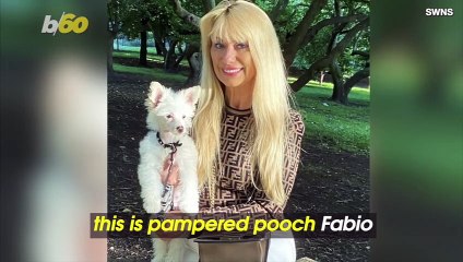 This Dapper Dog’s Owner Built Him a ‘Santa Grotto’ Filled With Gifts Totaling Nearly $3000