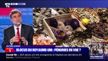 Story 4 : Blocus du Royaume-Uni, pénuries en vue ? - 22/12