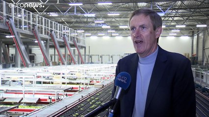 Brexit : l’exportation de fruits belges risque d’être fortement impactée