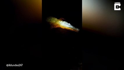 Regardez qui approche quand on met quelques coups dans l'eau