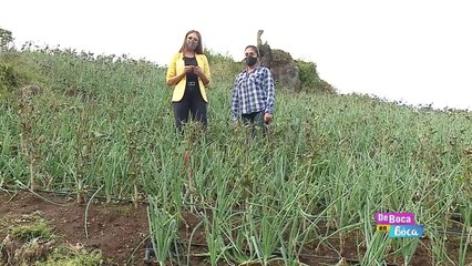 dbb-marilyn-gamboa-visita-cultivos-de-cebolla-221220