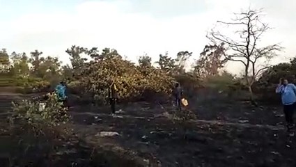 Feu de brousse : une partie de la forêt classée de Mbao bouffée par des flammes