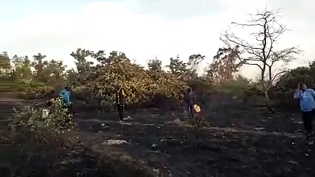 Feu de brousse : une partie de la forêt classée de Mbao bouffée par des flammes