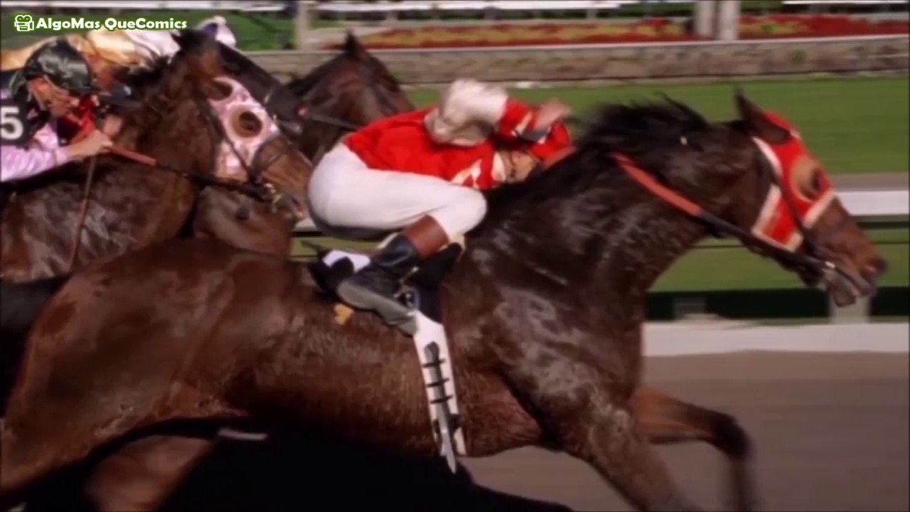 Las 20 Mejores Películas de Caballos