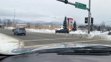 Giant Stuffed Moose Rides in Truck Bed