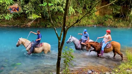 mqn-Vamos de tour a caballo por guatuso-221220