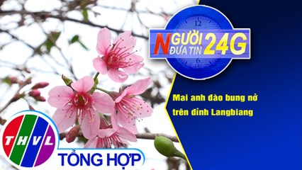 Người đưa tin 24G (18g30 ngày 22/12/2020) - Mai anh đào bung nở trên đỉnh Langbiang