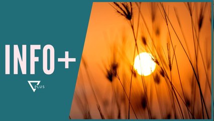 INFO+ /  Dielli në ciklin e ri! Priten njolla e stuhi diellore - Vizion Plus