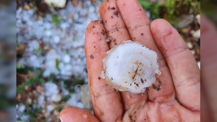 Ora News- Vjeshta në Konispol nis me breshër sa një top pinpongu. Përmbytje në Lezhë, Fier e Lushnje