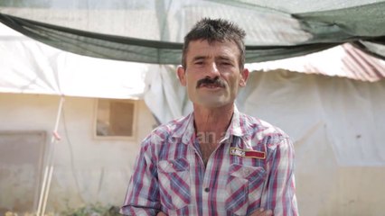 PD sjell te tjera denoncime | Lajme - News