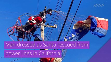 Man dressed as Santa rescued from power lines in California, and other top stories in strange news from December 23, 2020.