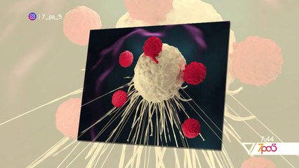 7pa5 - Helmi i bletes - 24 Shtator 2020 - Show - Vizion Plus