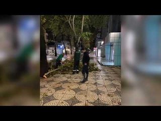 Top News - Pasojat e motit të keq/ Rrëzohen pemë, probleme me tragetet