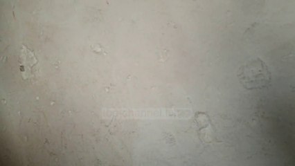 “Do jepni llogari për ato që keni nxjerrë në media”/ Revoltohet gruaja e tretë e Zhidrus