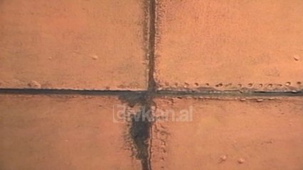 Ekspozite pikture nga Arben Golemi dhe Orion Shima - (26 Tetor 2000)