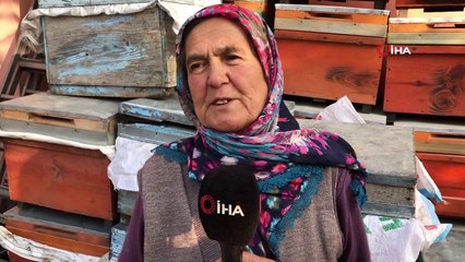 Hatay'ın şifa kaynağı: Püren balı