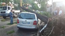 Ora News - Pemë të shkulura dhe përmbytje, moti i keq shkakton dëme të mëdha në Shkodër