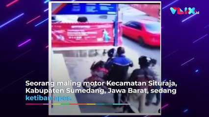 Mau Curi N-Max, Curanmor Ini Malah Malu Sendiri