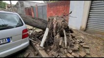 Top News - Bulqiza pa energji/ Era rrëzon pemët në Shkodër