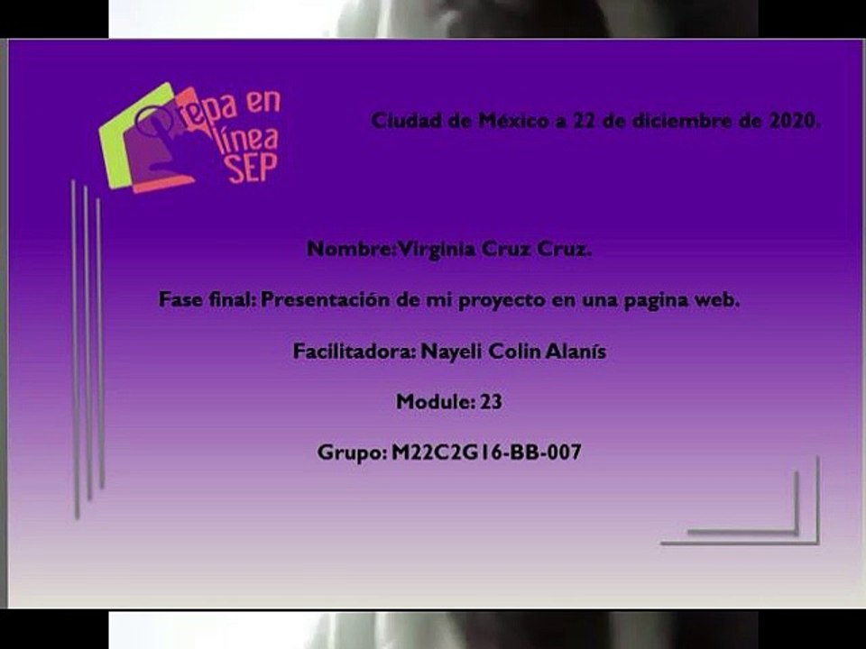 proyecto pet