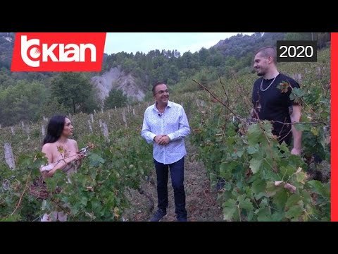 Klea Huta i kërkon llogari publikisht Elgit Dodës: Kush është Arieli?
