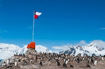 L'Antarctique a signalé ses premiers cas de COVID-19